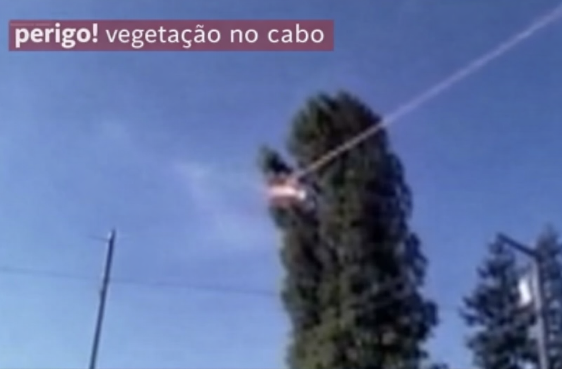 Visualização do módulo de detecção de invasão de faixa por vegetação